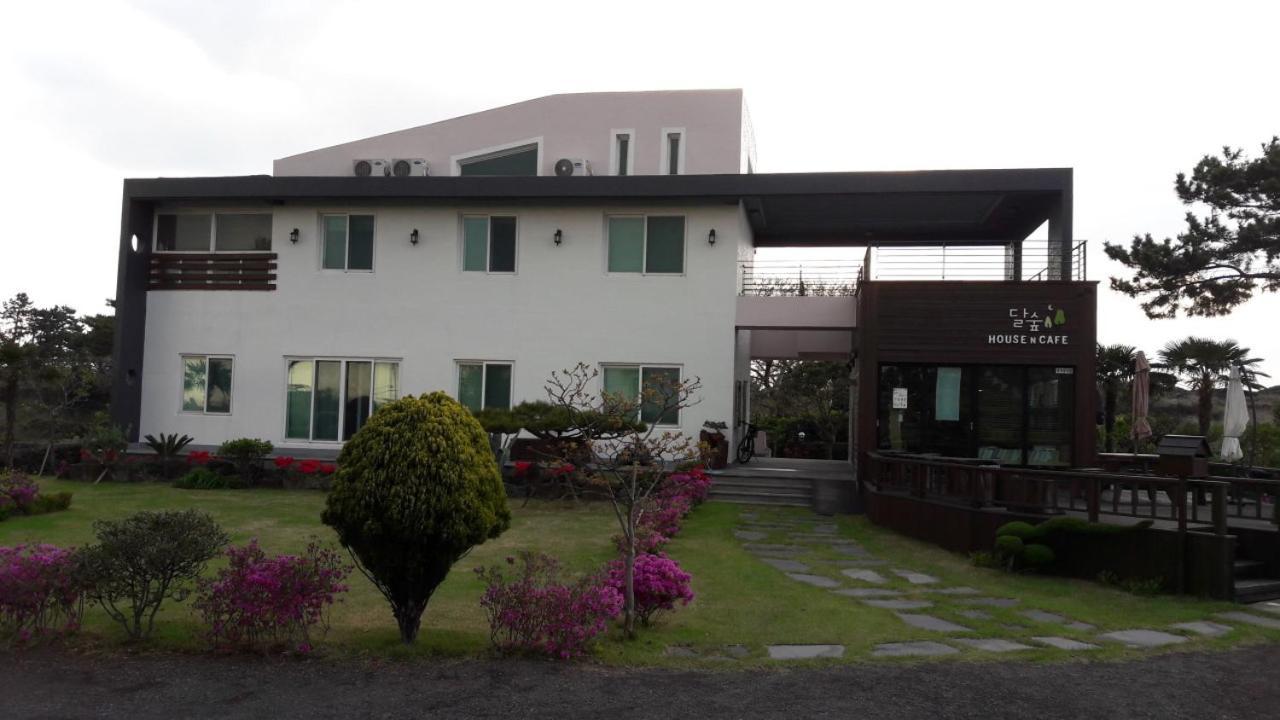 Moon Forest Guesthouse เมืองเชจู ภายนอก รูปภาพ