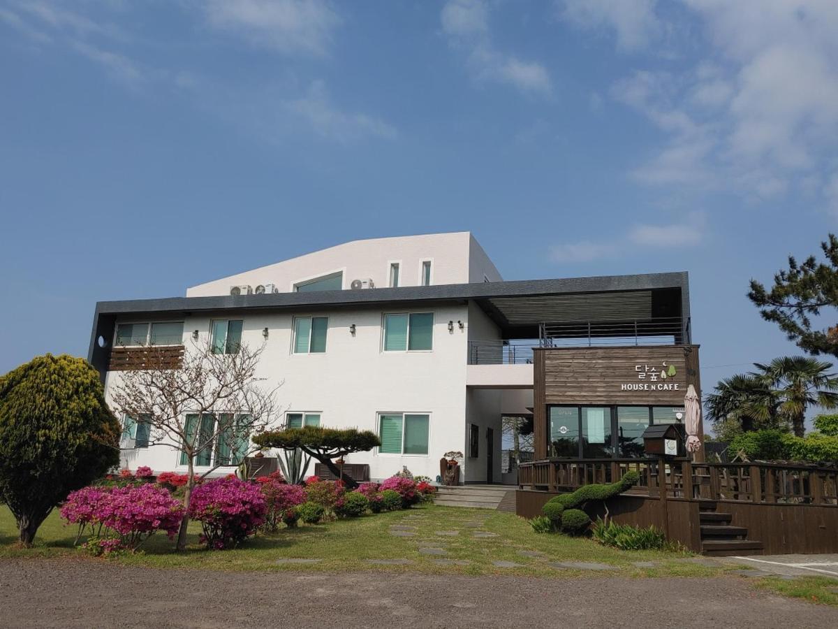 Moon Forest Guesthouse เมืองเชจู ภายนอก รูปภาพ